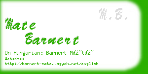 mate barnert business card